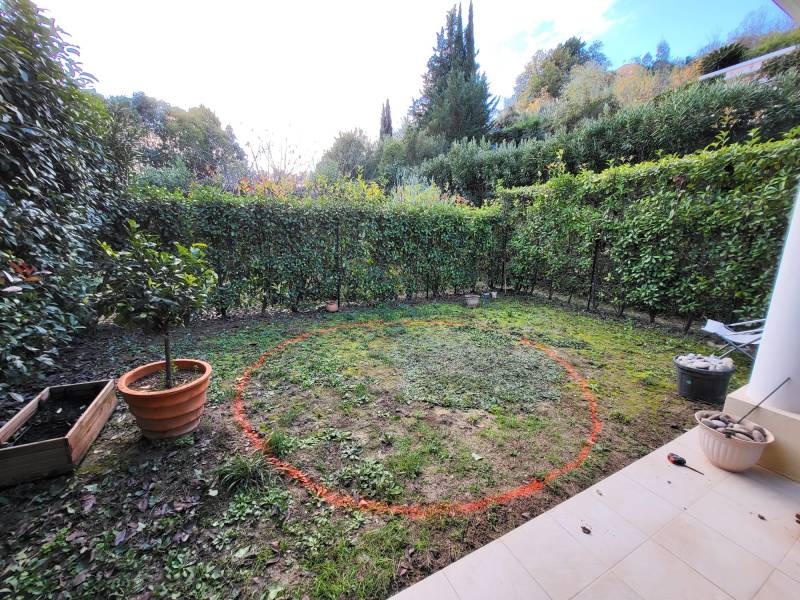 Quelle forme de piscine choisir dans un petit jardin ?