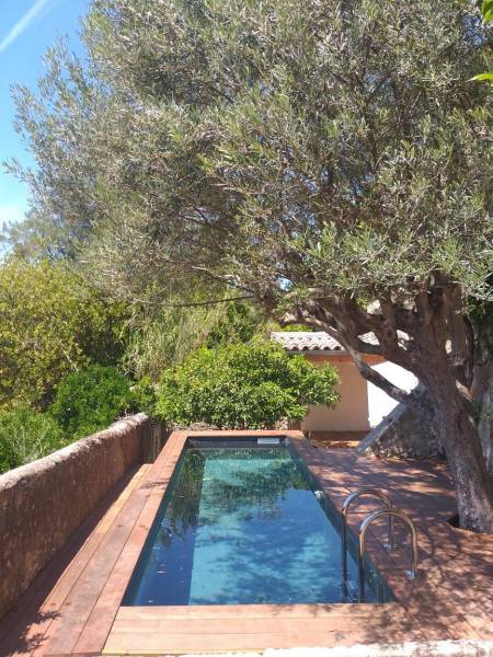 LES 9 TENDANCES DE PISCINE 2024